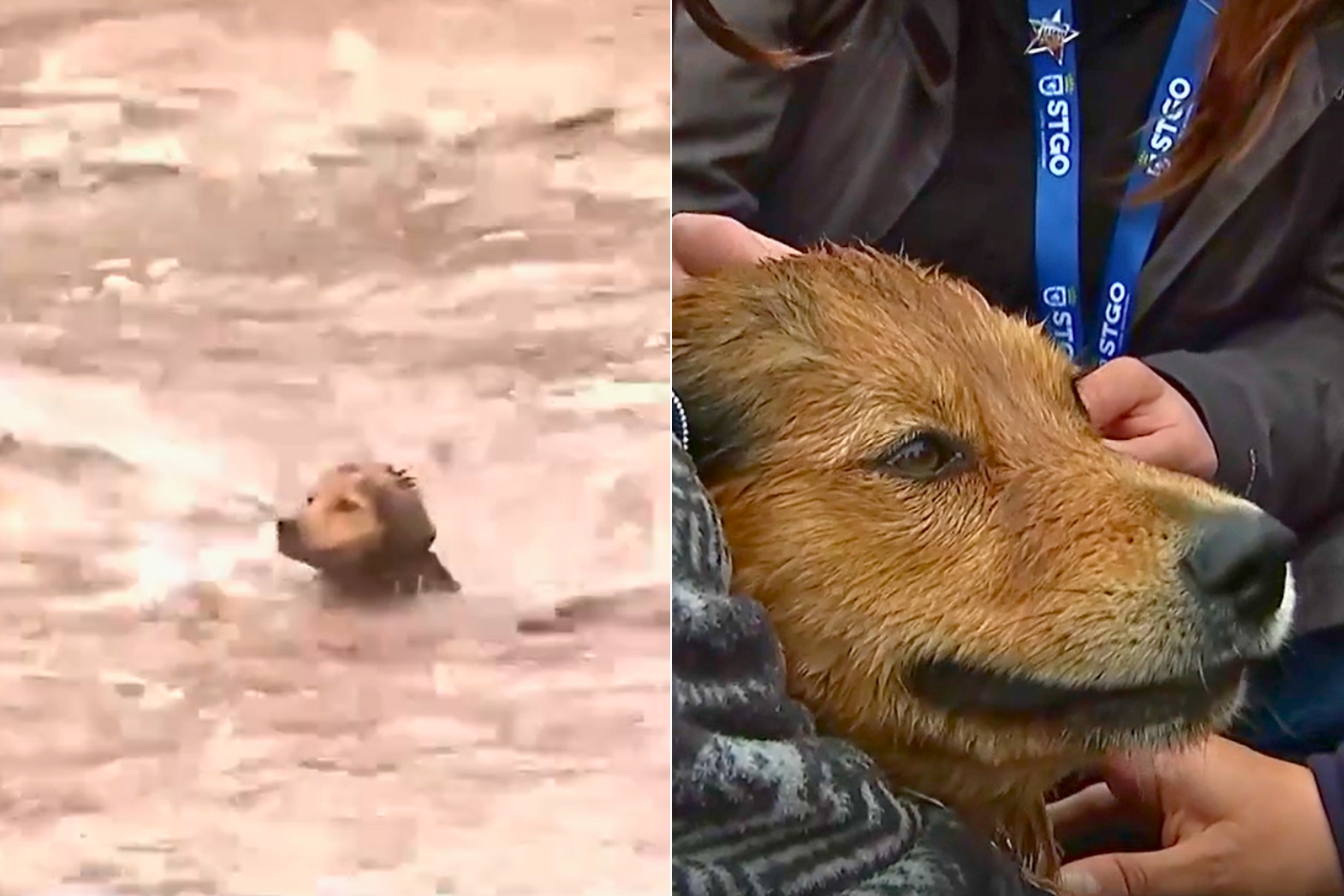 Morocho y el abandono: Ñuble no puede dejar a nadie a la deriva
